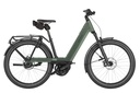 RIESE & MÜLLER Nevo5 - Rohloff
