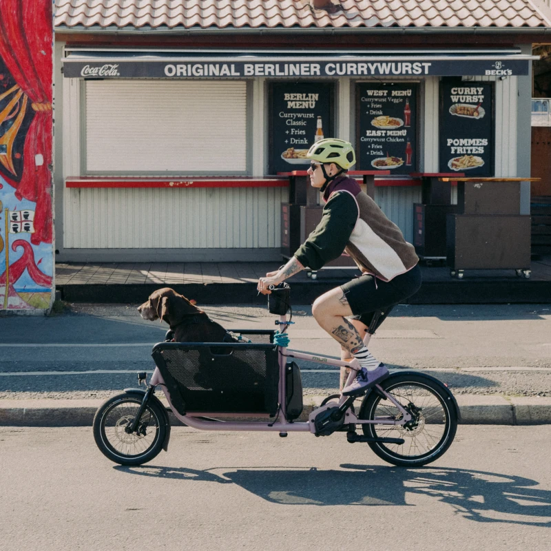 MULI e-Muli Motor st | Pro