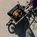 MULI e-Muli Motor st | Pro