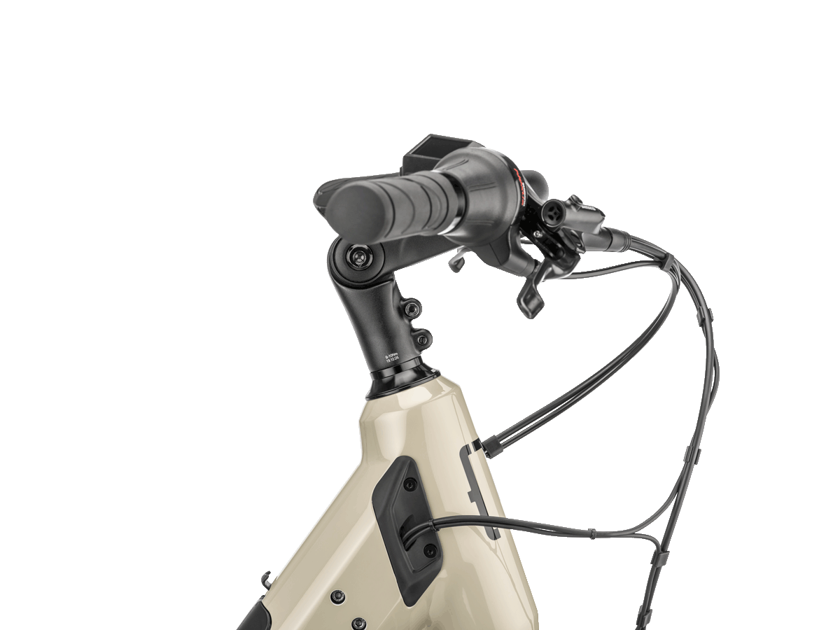 MOUSTACHE Mardi 27.2 - Y26