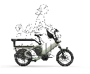 Bike43 Mid - Bosch Performance Line (75Nm)