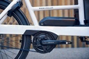 RIESE & MÜLLER Transporter2 65