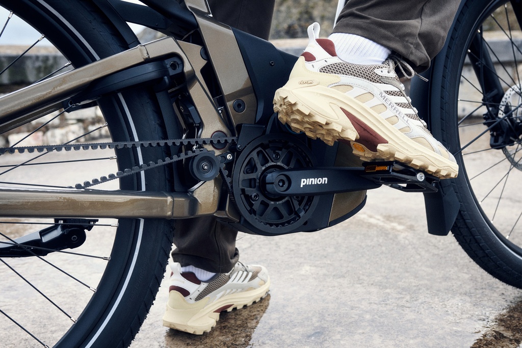 RIESE & MÜLLER Delite5 