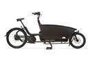 URBAN ARROW Family