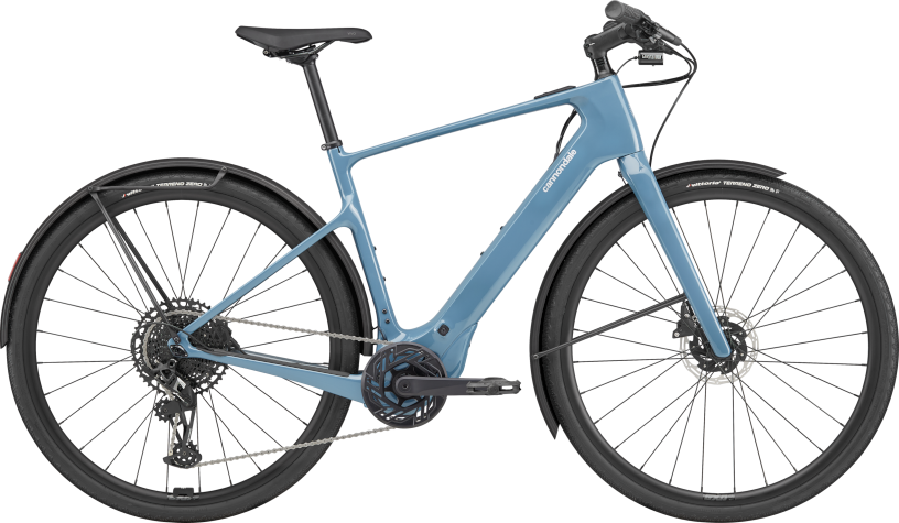 CANNONDALE Tesoro Neo Carbon 2