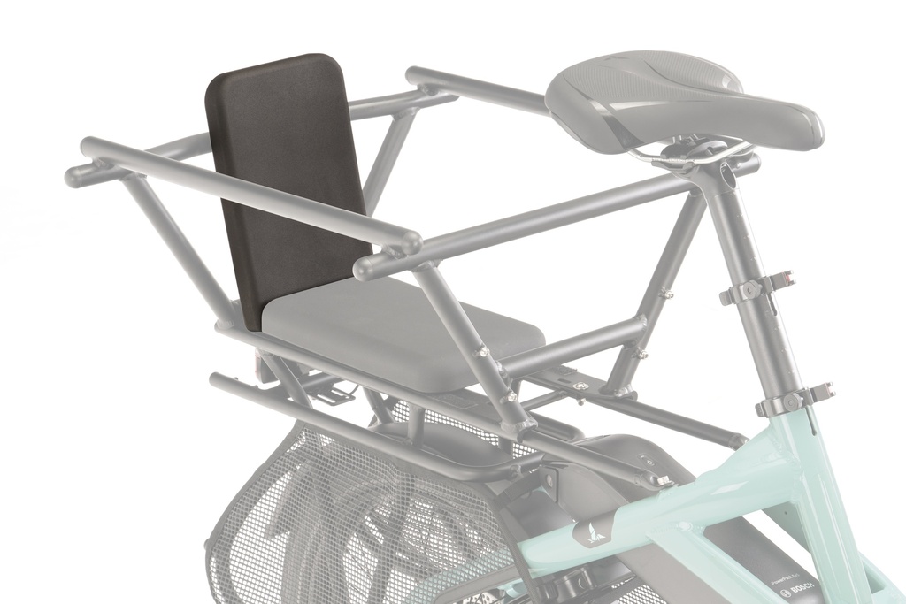 [000000017071] TERN Dossier "Clubhouse Backrest"