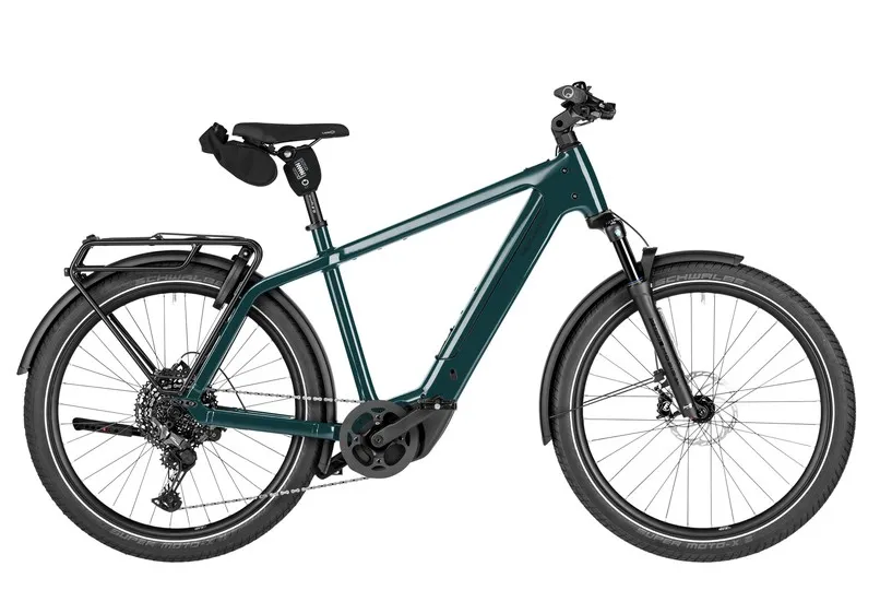 [000000020998] RIESE & MÜLLER Charger5 (Satin Pine, Shimano Cues 10 speeds, 53cm)