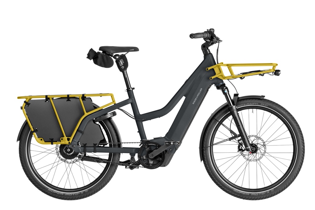 RIESE & MÜLLER Multicharger3 Mixte - Vario