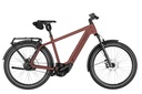 RIESE & MÜLLER Charger5 - Vario