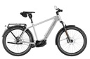RIESE & MÜLLER Charger5 - Pinion HS 45km/h