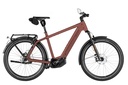 RIESE & MÜLLER Charger5 - Pinion HS 45km/h