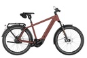 RIESE & MÜLLER Charger5 - Vario HS 45km/h