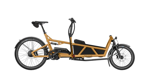RIESE & MÜLLER Load5 60 touring HS