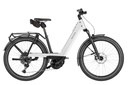 RIESE & MÜLLER Nevo5 - Touring