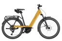 RIESE & MÜLLER Nevo5 - Touring