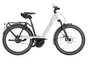 RIESE & MÜLLER Nevo5 - Vario HS 45km/h