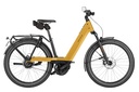 RIESE & MÜLLER Nevo5 - Vario HS 45km/h
