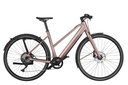 RIESE & MÜLLER UBN Seven - Touring