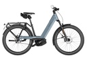 RIESE & MÜLLER Nevo5 - Pinion HS 45km/h