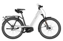 RIESE & MÜLLER Nevo5 - Pinion HS 45km/h