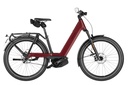 RIESE & MÜLLER Nevo5 - Pinion HS 45km/h