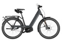 RIESE & MÜLLER Nevo5 - Pinion HS 45km/h
