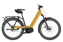 RIESE & MÜLLER Nevo5 - Pinion HS 45km/h
