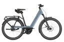 RIESE & MÜLLER Nevo5 - Rohloff