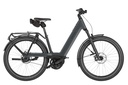 RIESE & MÜLLER Nevo5 - Rohloff