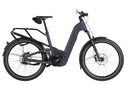 RIESE & MÜLLER Homage5 - Pinion HS 45km/h