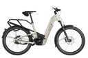 RIESE & MÜLLER Homage5 - Pinion HS 45km/h
