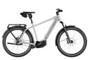 RIESE & MÜLLER Charger5 - Pinion