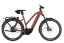 RIESE & MÜLLER Charger5 Mixte - Vario HS 45km/h