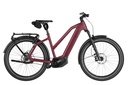 RIESE & MÜLLER Charger5 Mixte - Pinion