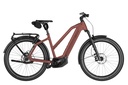 RIESE & MÜLLER Charger5 Mixte - Pinion