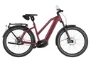 RIESE & MÜLLER Charger5 Mixte - Pinion HS 45km/h