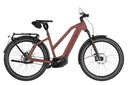 RIESE & MÜLLER Charger5 Mixte - Pinion HS 45km/h