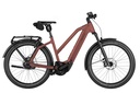 RIESE & MÜLLER Charger5 Mixte - Rohloff