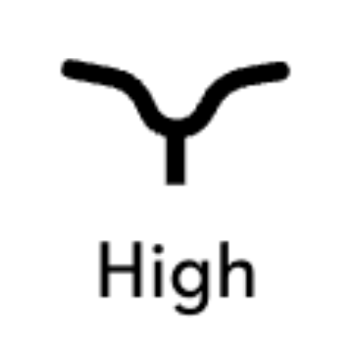 Type de guidon: H-type